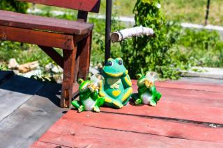 Casa de vacanta Marya - 1