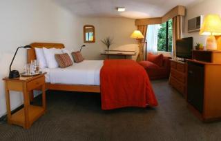 Hotel Presidente - Santiago - 8