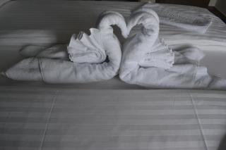 Hotel River - Bijeljina - 5