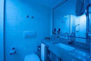 Maritim Titisee Hotel - Titisee-Neustadt - 3