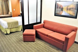 Microtel Inn and Suites by Wyndham Toluca - Toluca - 9