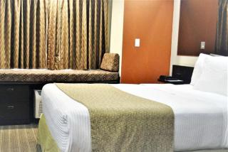 Microtel Inn and Suites by Wyndham Toluca - Toluca - 8