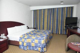 Hotel Concorde Toluca - Toluca de Lerdo - 4