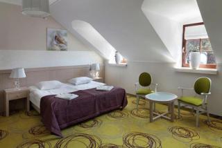 Hanza Pałac Wellness & SPA - Warlubie - 6