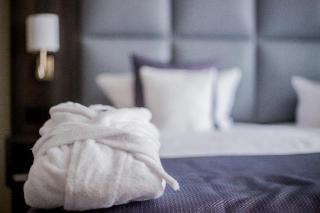 Hotel Chemnitzer Hof - Chemnitz - 6