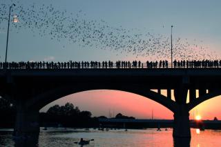 Norwalk Landing - Austin - 5