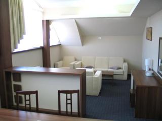 Euro House Hotel - Baia Mare - 7