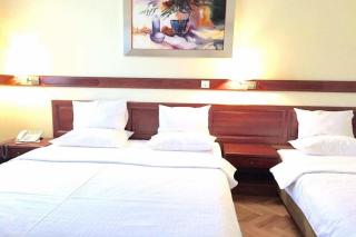Hotel Vila Vrbas - Banja Luka - 8