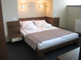 Euro House Hotel - Baia Mare - 6