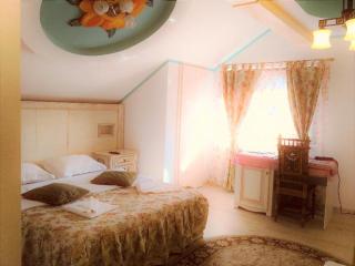 Leaganul Bucovinei Guest House - 7