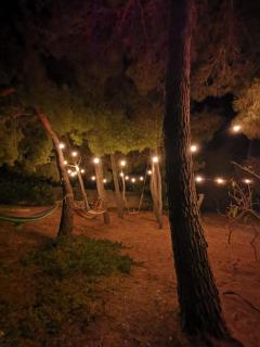 La Casa Nella Pineta - Gallipoli - Gallipoli - 9