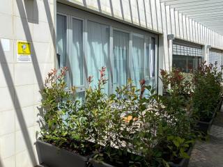 Appartamento a 30 mt dal mare - Cecina - 1