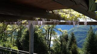 Casa Barbara - eine Oase der Ruhe oberhalb des Lago di Lugano - Carona - 1