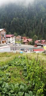 Villa Zafran Apart - 1