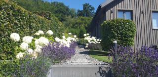 Le Petit Moussis - Stavelot - 6