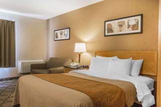 Comfort Inn - Belleville - 9