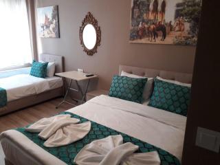 Hotel Estambul - Istanbul - 6