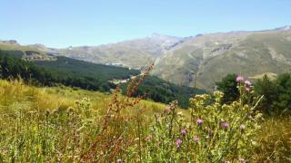 Dúplex acogedor con vistas y Garaje opcional - Serra Nevada - 8