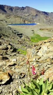 Dúplex acogedor con vistas y Garaje opcional - Serra Nevada - 6
