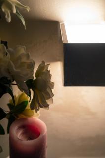 Ca’ Anna in Biennale - Venice - 8