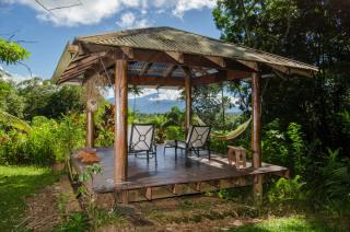 Epiphyte B & B - Cape Tribulation - 6