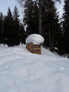 Haus Hotz - Landeck - 3