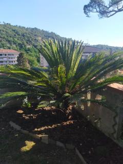 Bed & Breakfast Lujocanda - Casarza Ligure - 1
