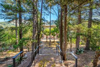 Son Grua Agroturismo - Adults only - Pollença - 3