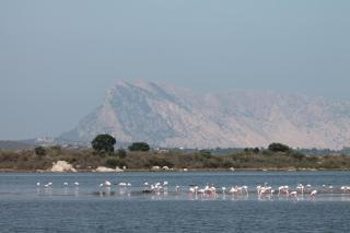 Monolocale belvedere - San Teodoro - 8