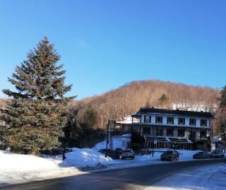 Hotel Mont-Tremblant - Mont-Tremblant - 2