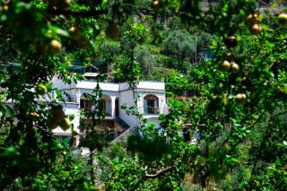 Villa genny and emily - Positano - 5