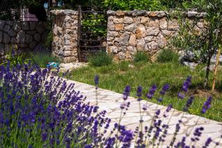 Apartmani Maslina - Tovrnele - 7