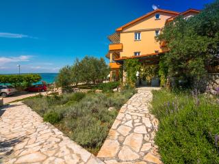 Apartmani Maslina - Tovrnele - 6