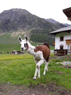 Thumeserhof - Schmirn - 2