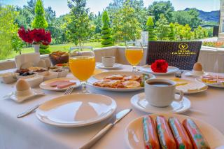 Vilesh Palace Hotel - 4