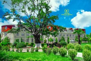 Vilesh Palace Hotel - 6