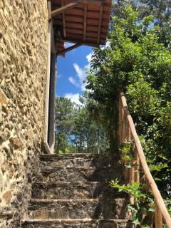 Casa Kika e Noelle - Castanheira de Pêra - 3