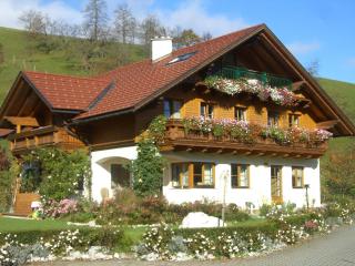 Haus Loidl - Sankt Gallen - 0
