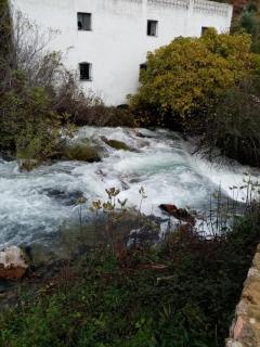 Casa Lucía y Clara benaojan - Benaoján - 6