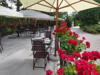 Hotel Germisara - Geoagiu Băi - 1
