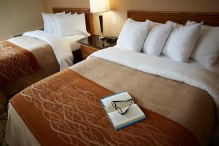Comfort Inn - Thunder Bay - 8