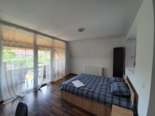 STUDIO APARTMENTS - Alba Iulia - 3