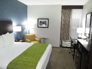 Best Western Rock Hill - Rock Hill - 8