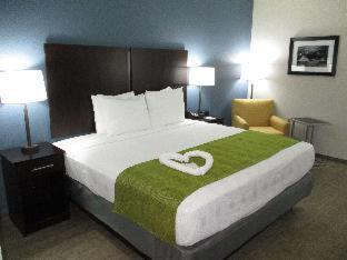 Best Western Rock Hill - Rock Hill - 7