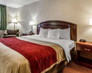 Quality Inn & Suites Fort Madison near Hwy 61 - Fort Madison - 8