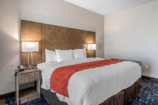 Comfort Suites Fort Lauderdale Airport & Cruise Port - 7