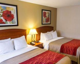 Comfort Inn Hastings - Hastings - 6