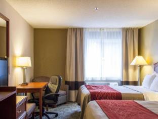 Comfort Inn Hastings - Hastings - 4