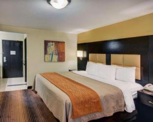 Spark By Hilton Grapevine DFW North - Grapevine - 9