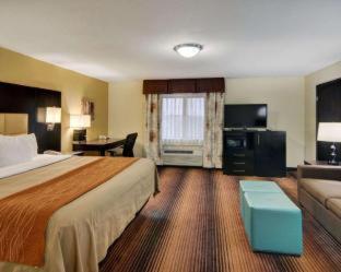 Spark By Hilton Grapevine DFW North - Grapevine - 7